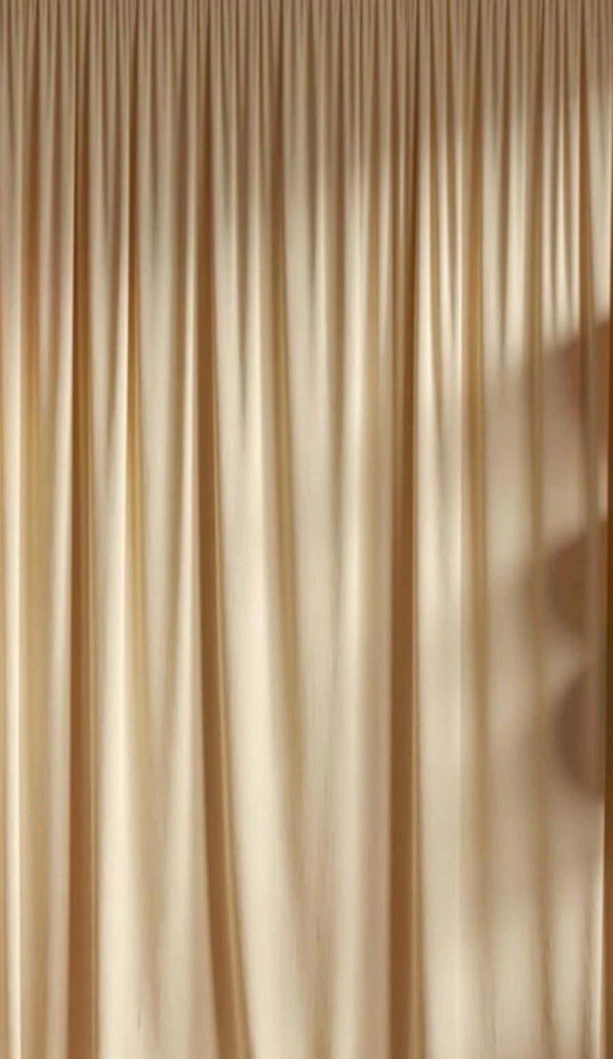 Ivory Jharokha photography backdrop